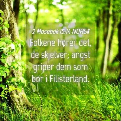 Picture 04 - 2 Mosebok 15:14 NORSK - Folkene hører det, de skjelver; angst griper dem - Bible Verse Picture