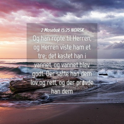 Picture 04 - 2 Mosebok 15:25 NORSK - Og han ropte til Herren, og Herren viste ham et - Bible Verse Picture