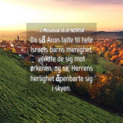 Picture 04 - 2 Mosebok 16:10 NORSK - Da så Aron talte til hele Israels barns - Bible Verse Picture