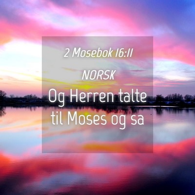 Picture 04 - 2 Mosebok 16:11 NORSK - Og Herren talte til Moses og - Bible Verse Picture