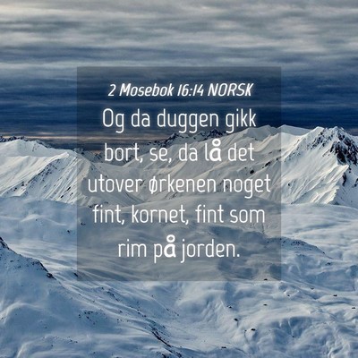 Picture 04 - 2 Mosebok 16:14 NORSK - Og da duggen gikk bort, se, da lå det utover - Bible Verse Picture