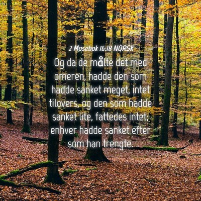 Picture 04 - 2 Mosebok 16:18 NORSK - Og da de målte det med omeren, hadde den som - Bible Verse Picture