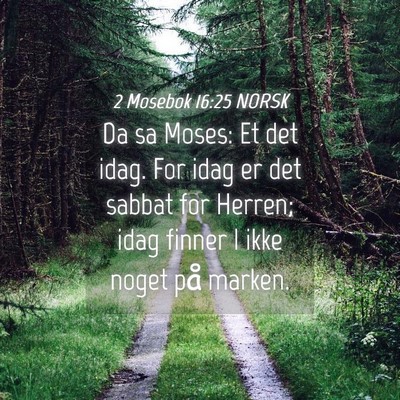 Picture 04 - 2 Mosebok 16:25 NORSK - Da sa Moses: Et det idag. For idag er det sabbat - Bible Verse Picture