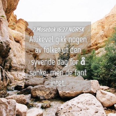 Picture 04 - 2 Mosebok 16:27 NORSK - Allikevel gikk nogen av folket ut den syvende dag - Bible Verse Picture