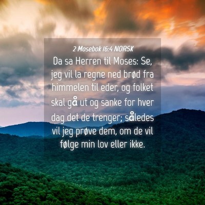 Picture 04 - 2 Mosebok 16:4 NORSK - Da sa Herren til Moses: Se, jeg vil la regne ned - Bible Verse Picture