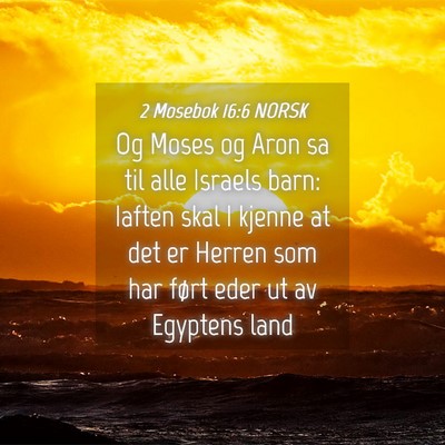 Picture 04 - 2 Mosebok 16:6 NORSK - Og Moses og Aron sa til alle Israels barn: Iaften - Bible Verse Picture