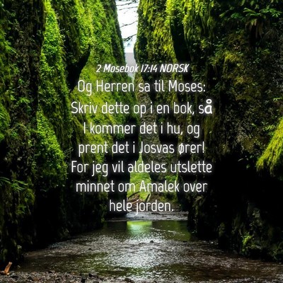 Picture 04 - 2 Mosebok 17:14 NORSK - Og Herren sa til Moses: Skriv dette op i en bok, - Bible Verse Picture