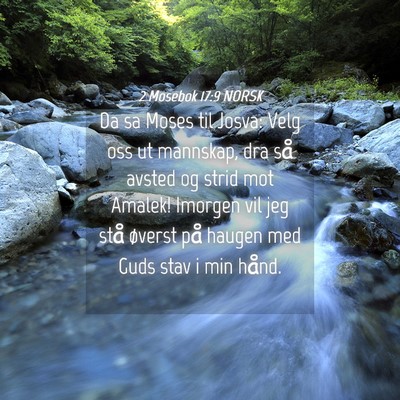 Picture 04 - 2 Mosebok 17:9 NORSK - Da sa Moses til Josva: Velg oss ut mannskap, dra - Bible Verse Picture