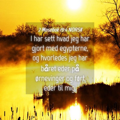 Picture 04 - 2 Mosebok 19:4 NORSK - I har sett hvad jeg har gjort med egypterne, og - Bible Verse Picture