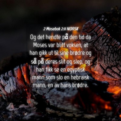 Picture 04 - 2 Mosebok 2:11 NORSK - Og det hendte på den tid da Moses var blitt - Bible Verse Picture