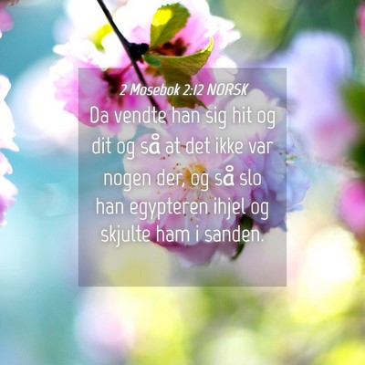 Picture 04 - 2 Mosebok 2:12 NORSK - Da vendte han sig hit og dit og så at det ikke - Bible Verse Picture