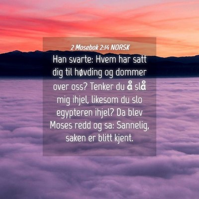 Picture 04 - 2 Mosebok 2:14 NORSK - Han svarte: Hvem har satt dig til høvding og - Bible Verse Picture