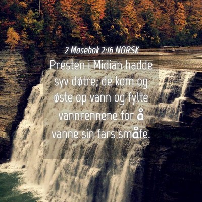 Picture 04 - 2 Mosebok 2:16 NORSK - Presten i Midian hadde syv døtre; de kom og - Bible Verse Picture