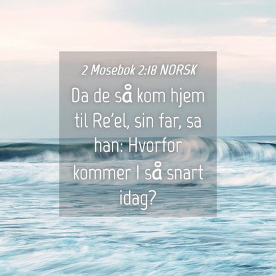 Picture 04 - 2 Mosebok 2:18 NORSK - Da de så kom hjem til Re'el, sin far, sa han: - Bible Verse Picture