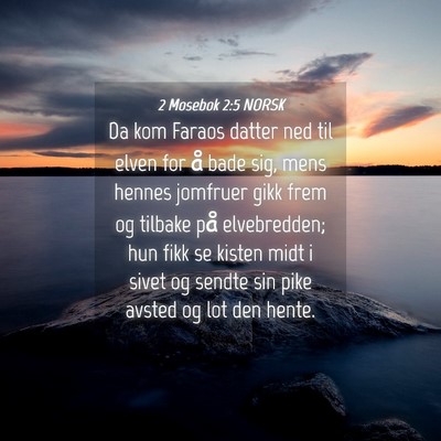 Picture 04 - 2 Mosebok 2:5 NORSK - Da kom Faraos datter ned til elven for å bade - Bible Verse Picture