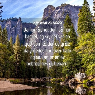 Picture 04 - 2 Mosebok 2:6 NORSK - Da hun åpnet den, så hun barnet, og se, det var - Bible Verse Picture