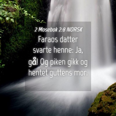 Picture 04 - 2 Mosebok 2:8 NORSK - Faraos datter svarte henne: Ja, gå! Og piken - Bible Verse Picture