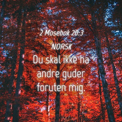 Picture 04 - 2 Mosebok 20:3 NORSK - Du skal ikke ha andre guder foruten - Bible Verse Picture