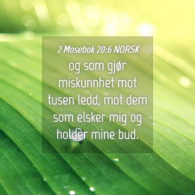 Picture 04 - 2 Mosebok 20:6 NORSK - og som gjør miskunnhet mot tusen ledd, mot dem - Bible Verse Picture