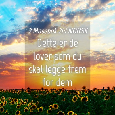 Picture 04 - 2 Mosebok 21:1 NORSK - Dette er de lover som du skal legge frem for - Bible Verse Picture
