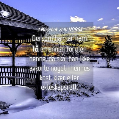 Picture 04 - 2 Mosebok 21:10 NORSK - Dersom han lar ham få en annen foruten henne, da - Bible Verse Picture