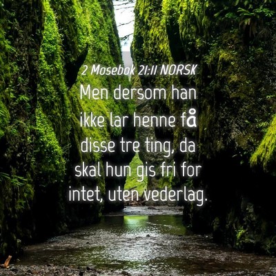 Picture 04 - 2 Mosebok 21:11 NORSK - Men dersom han ikke lar henne få disse tre ting, - Bible Verse Picture