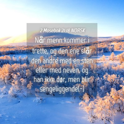 Picture 04 - 2 Mosebok 21:18 NORSK - Når menn kommer i trette, og den ene slår den - Bible Verse Picture