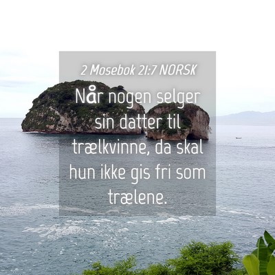 Picture 04 - 2 Mosebok 21:7 NORSK - Når nogen selger sin datter til trælkvinne, da - Bible Verse Picture