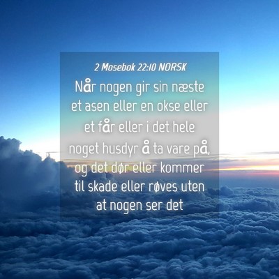 Picture 04 - 2 Mosebok 22:10 NORSK - Når nogen gir sin næste et asen eller en okse - Bible Verse Picture