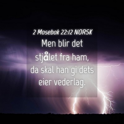Picture 04 - 2 Mosebok 22:12 NORSK - Men blir det stjålet fra ham, da skal han gi - Bible Verse Picture