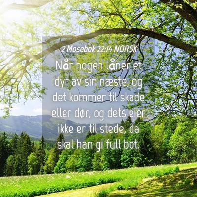 Picture 04 - 2 Mosebok 22:14 NORSK - Når nogen låner et dyr av sin næste, og det - Bible Verse Picture