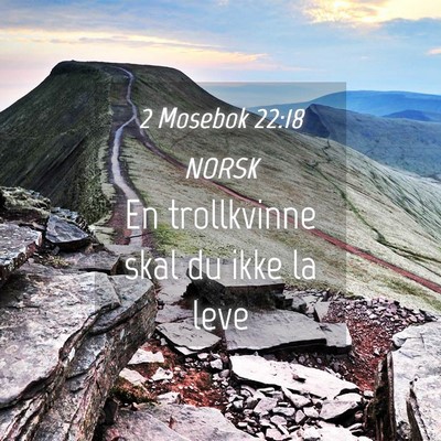 Picture 04 - 2 Mosebok 22:18 NORSK - En trollkvinne skal du ikke la - Bible Verse Picture