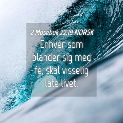 Picture 04 - 2 Mosebok 22:19 NORSK - Enhver som blander sig med fe, skal visselig late - Bible Verse Picture