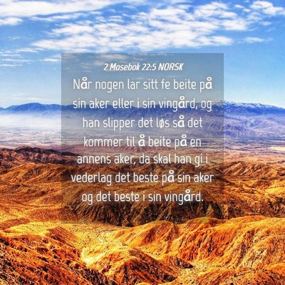 Picture 04 - 2 Mosebok 22:5 NORSK - Når nogen lar sitt fe beite på sin aker eller i - Bible Verse Picture