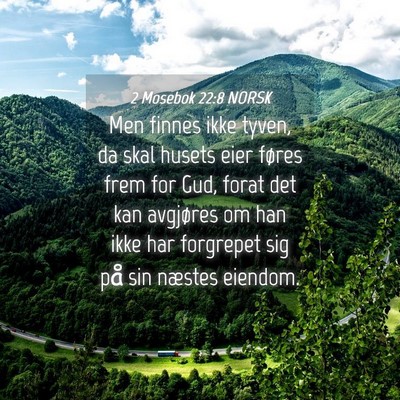 Picture 04 - 2 Mosebok 22:8 NORSK - Men finnes ikke tyven, da skal husets eier føres - Bible Verse Picture