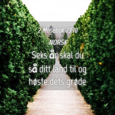 Picture 04 - 2 Mosebok 23:10 NORSK - Seks år skal du så ditt land til og høste dets - Bible Verse Picture
