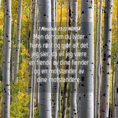 Picture 04 - 2 Mosebok 23:22 NORSK - Men dersom du lyder hans røst og gjør alt det - Bible Verse Picture
