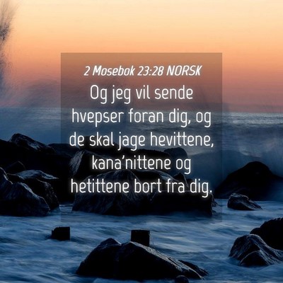 Picture 04 - 2 Mosebok 23:28 NORSK - Og jeg vil sende hvepser foran dig, og de skal - Bible Verse Picture
