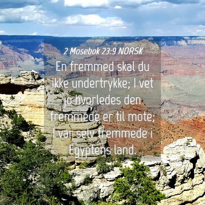 Picture 04 - 2 Mosebok 23:9 NORSK - En fremmed skal du ikke undertrykke; I vet jo - Bible Verse Picture