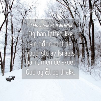 Picture 04 - 2 Mosebok 24:11 NORSK - Og han løftet ikke sin hånd mot de ypperste av - Bible Verse Picture