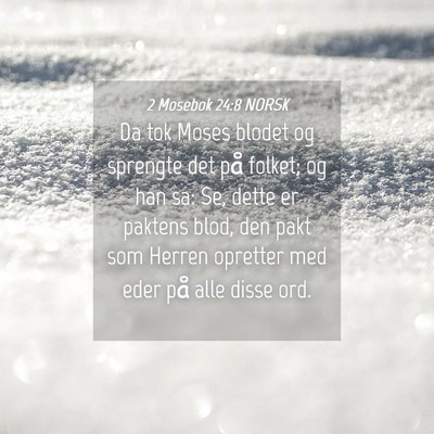 Picture 04 - 2 Mosebok 24:8 NORSK - Da tok Moses blodet og sprengte det på folket; - Bible Verse Picture