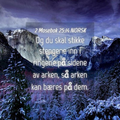 Picture 04 - 2 Mosebok 25:14 NORSK - Og du skal stikke stengene inn i ringene på - Bible Verse Picture