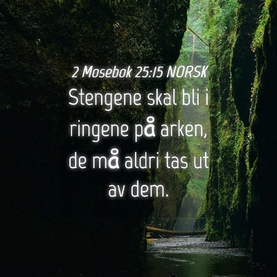 Picture 04 - 2 Mosebok 25:15 NORSK - Stengene skal bli i ringene på arken, de må - Bible Verse Picture