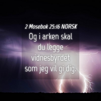 Picture 04 - 2 Mosebok 25:16 NORSK - Og i arken skal du legge vidnesbyrdet som jeg vil - Bible Verse Picture