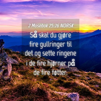 Picture 04 - 2 Mosebok 25:26 NORSK - Så skal du gjøre fire gullringer til det og - Bible Verse Picture
