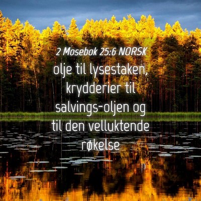 Picture 04 - 2 Mosebok 25:6 NORSK - olje til lysestaken, krydderier til - Bible Verse Picture
