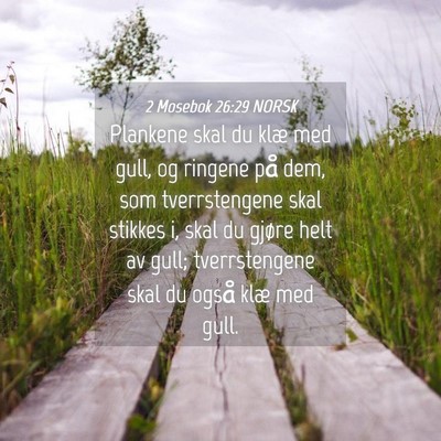 Picture 04 - 2 Mosebok 26:29 NORSK - Plankene skal du klæ med gull, og ringene på - Bible Verse Picture