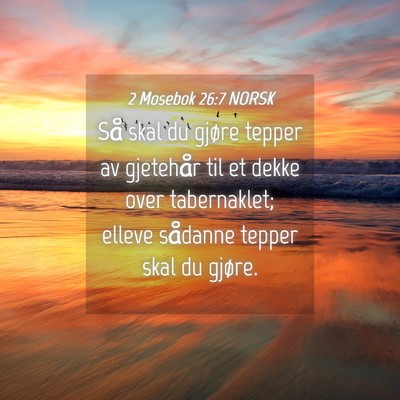 Picture 04 - 2 Mosebok 26:7 NORSK - Så skal du gjøre tepper av gjetehår til et - Bible Verse Picture