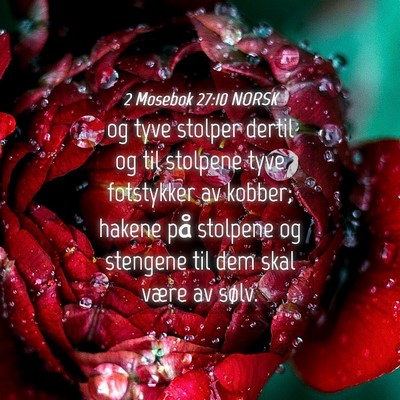 Picture 04 - 2 Mosebok 27:10 NORSK - og tyve stolper dertil og til stolpene tyve - Bible Verse Picture