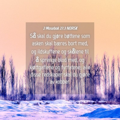 Picture 04 - 2 Mosebok 27:3 NORSK - Så skal du gjøre bøttene som asken skal bæres - Bible Verse Picture
